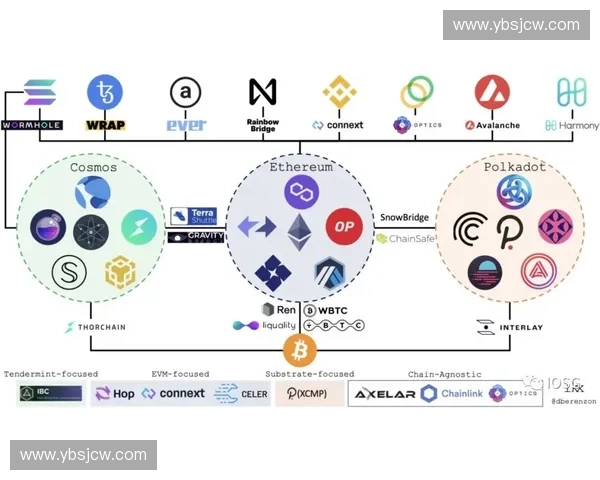 全面解析体育直播官方平台发展趋势与未来展望